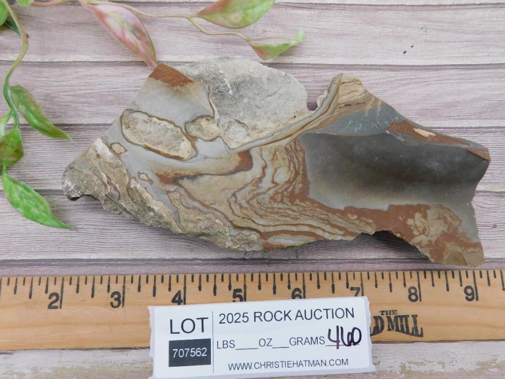 Rock Specimen with Layered Patterns - 2