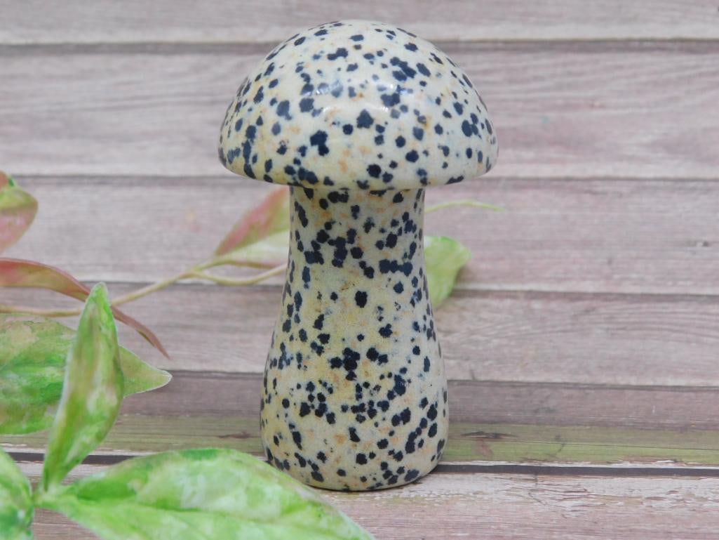 Dalmation Jasper Polished Mushroom Figurine With Black Spots: Dalmation Jasper Polished Mushroom Figurine With Black Spots