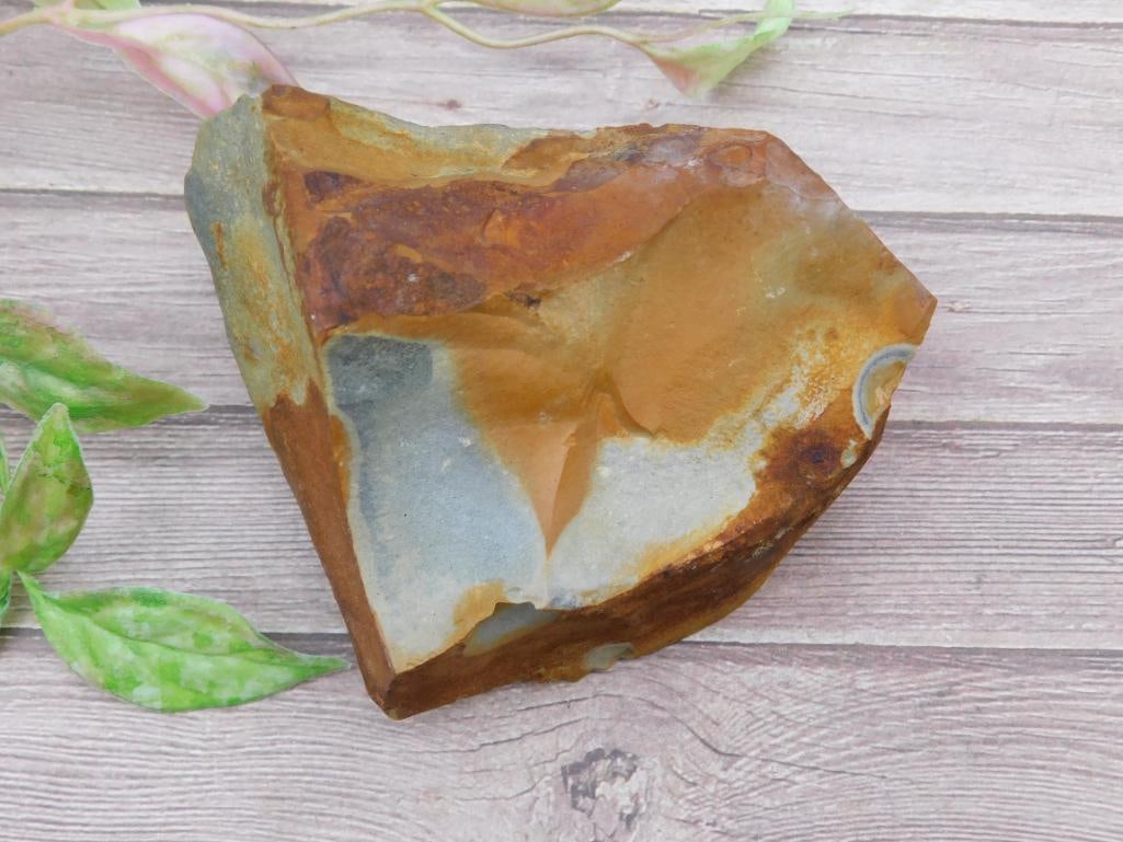 Jasper Rock Specimen with Multicolor Hues: Jasper Rock Specimen with Multicolor Hues
