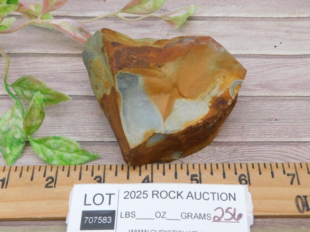 Jasper Rock Specimen with Multicolor Hues - 3