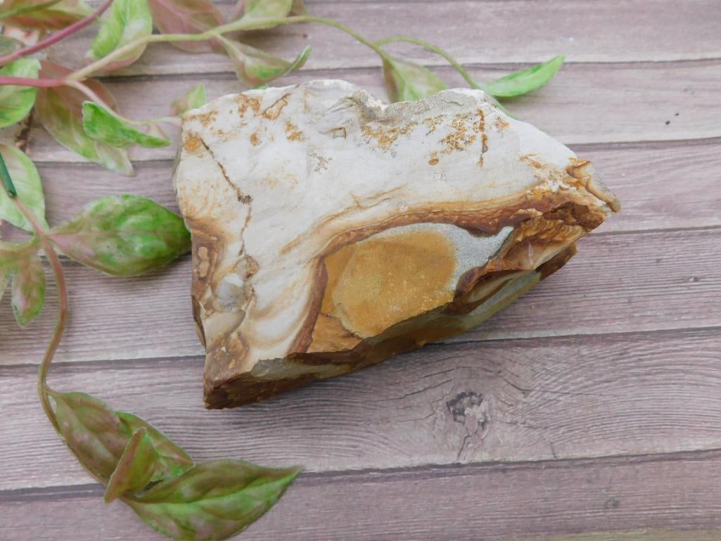 Jasper Multi-Toned Rock Specimen - 2