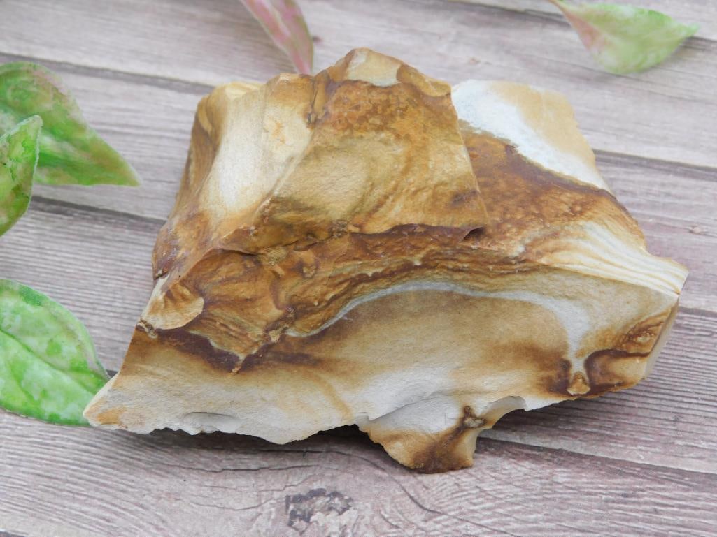 Multicolored Jasper Specimen for Rock Collection - 2