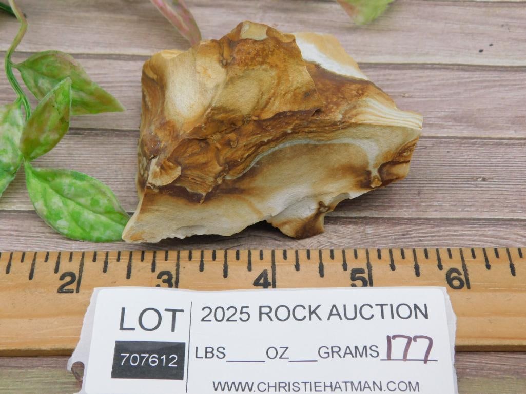 Multicolored Jasper Specimen for Rock Collection - 3