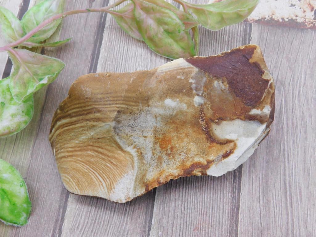 Jasper Rock Sample with Visible Layering (1 of 2)