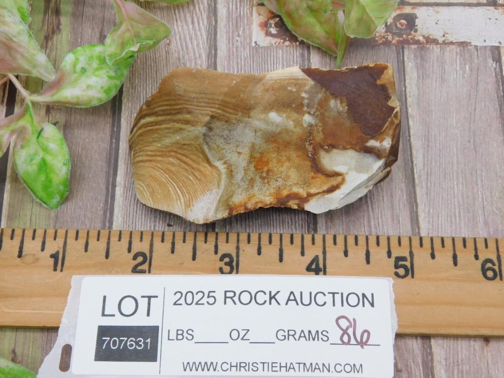 Jasper Rock Sample with Visible Layering - 2