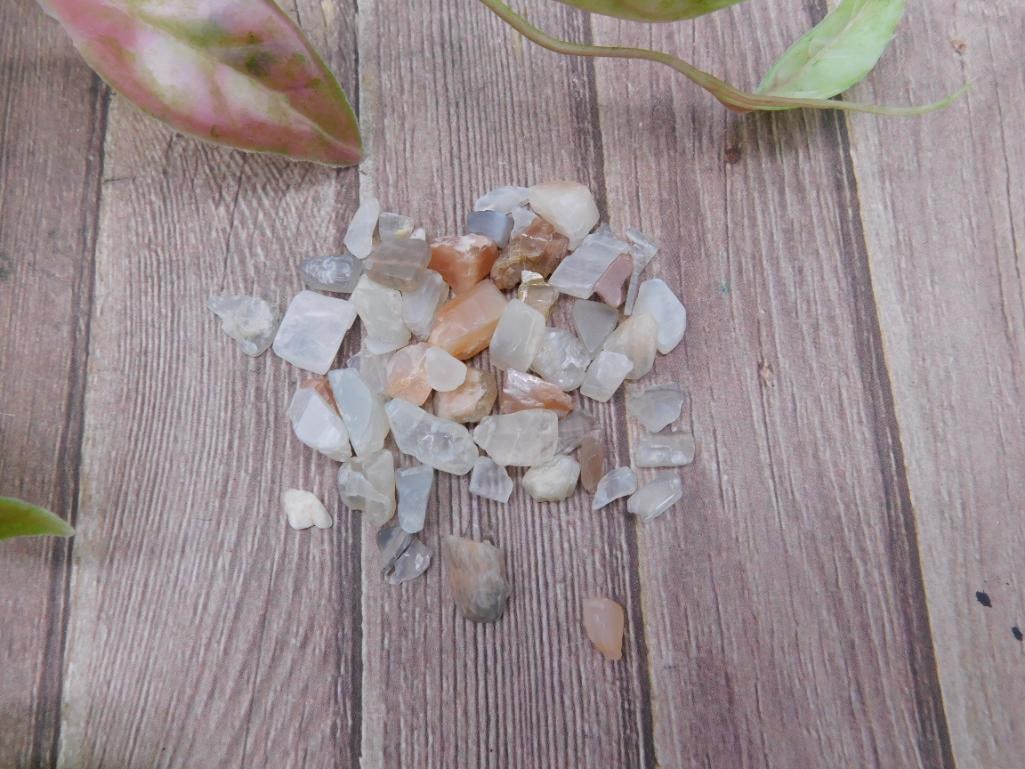 Rainbow Moonstone 12 Grams Tumbled Gemstones: Rainbow Moonstone 12 Grams Tumbled Gemstones