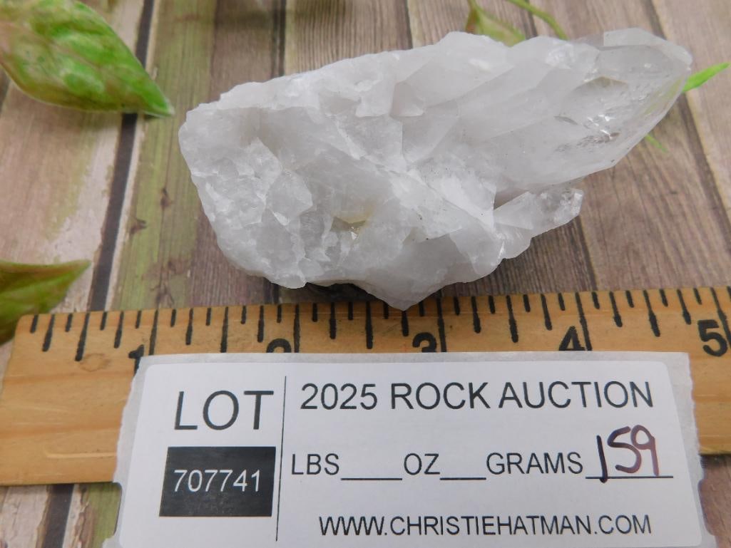 Clear Quartz Crystal Cluster Specimen - 3