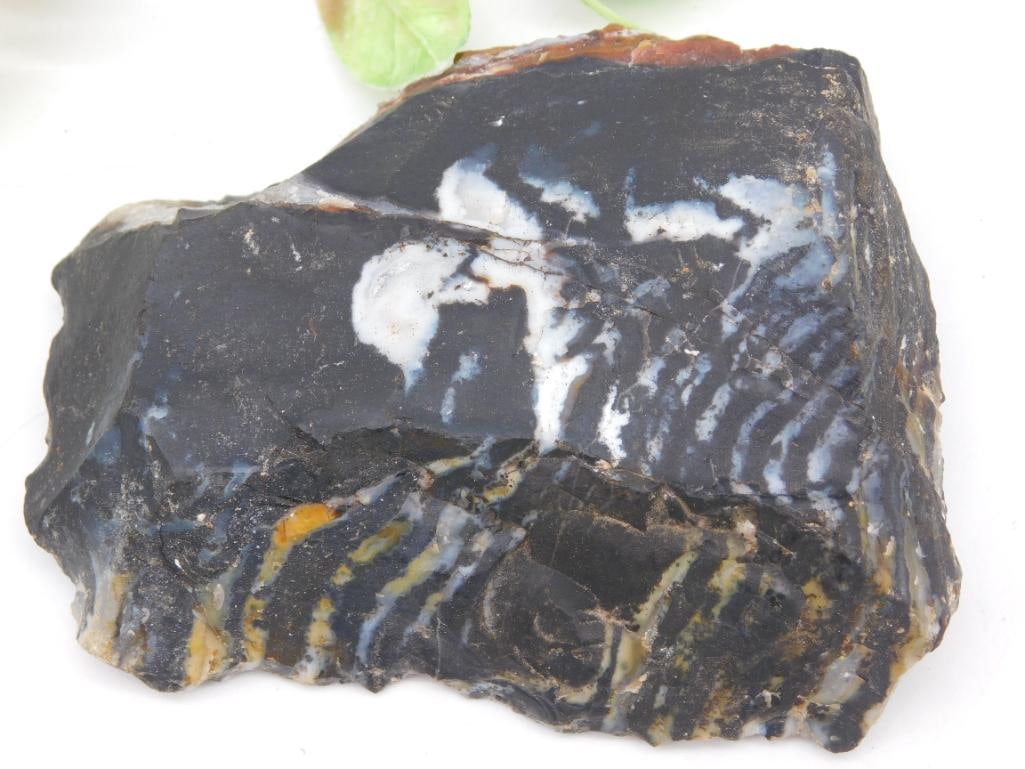 Agate Rock Stone Lapidary Specimen Slab: Agate Rock Stone Lapidary Specimen Slab