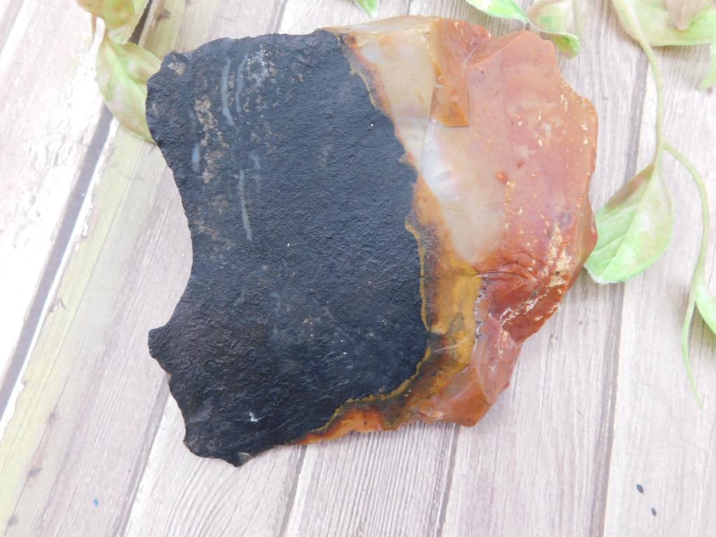 Rock Stone Lapidary Specimen': Rock Stone Lapidary Specimen'