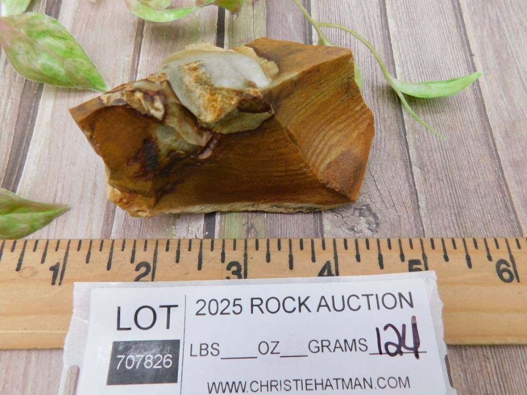 Jasper Rock Stone Lapidary Specimen - 3