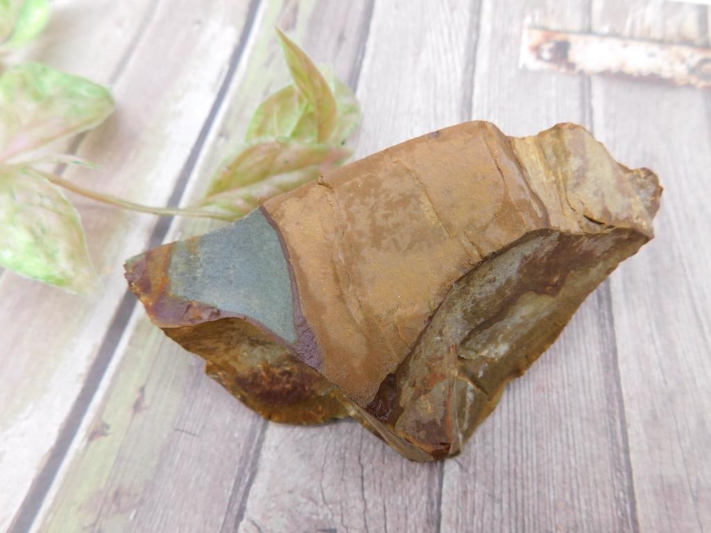 Bruneau Jasper Multicolored Rock Stone Lapidary Specimen: Bruneau Jasper Multicolored Rock Stone Lapidary Specimen