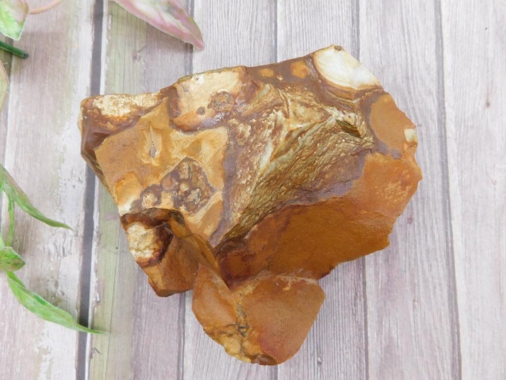 Jasper Rock Stone Lapidary Specimen': Jasper Rock Stone Lapidary Specimen'