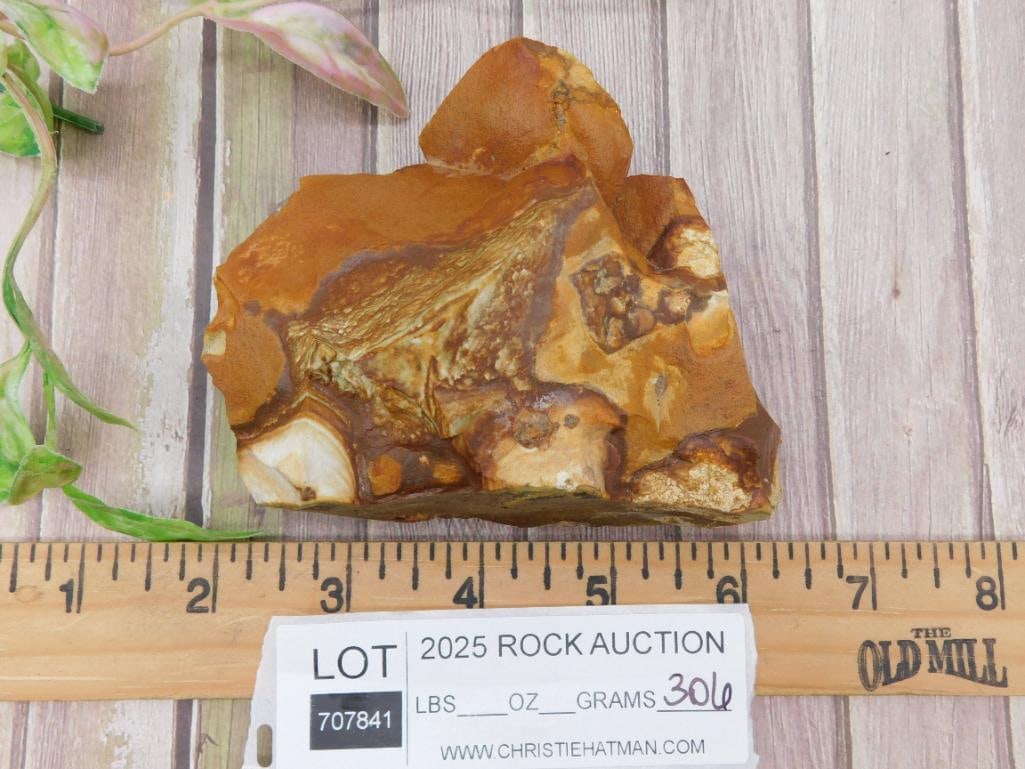 Jasper Rock Stone Lapidary Specimen' - 3