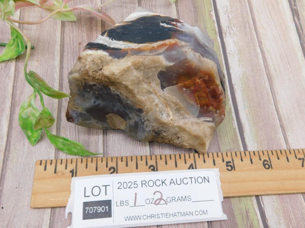Rock Stone Lapidary'Specimen With Layered Pattern - 3