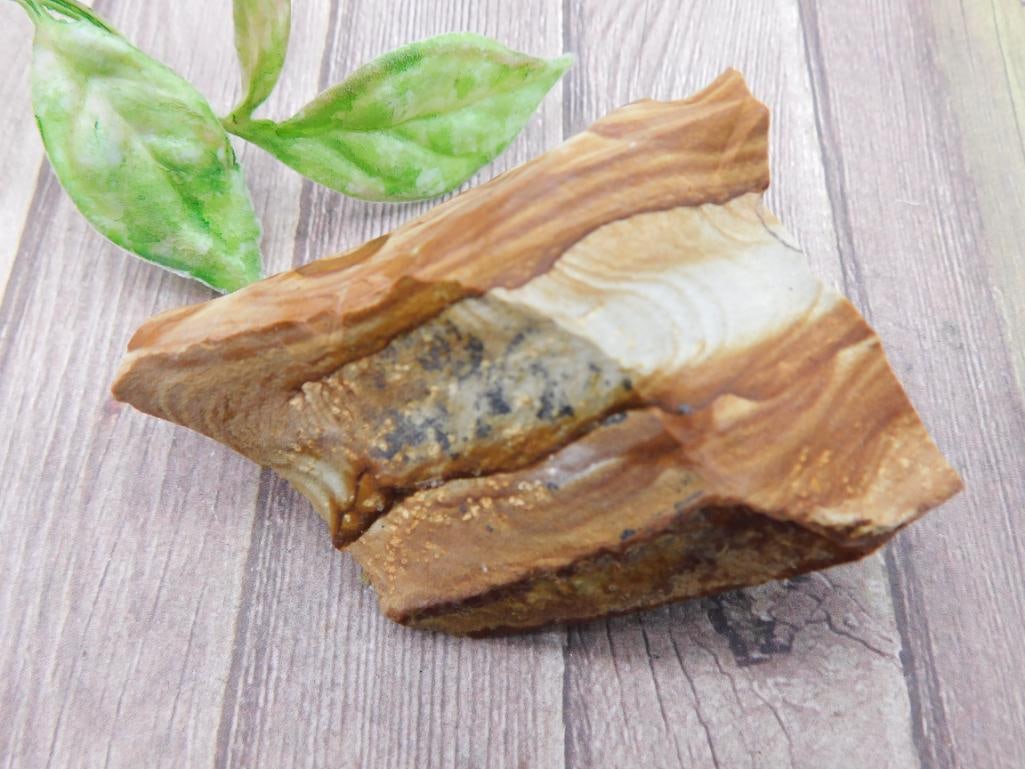 Jasper Rock Stone Lapidary Specimen' - 2