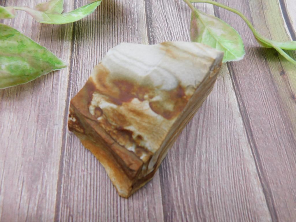 Jasper Rock Stone Lapidary Specimen: Jasper Rock Stone Lapidary Specimen