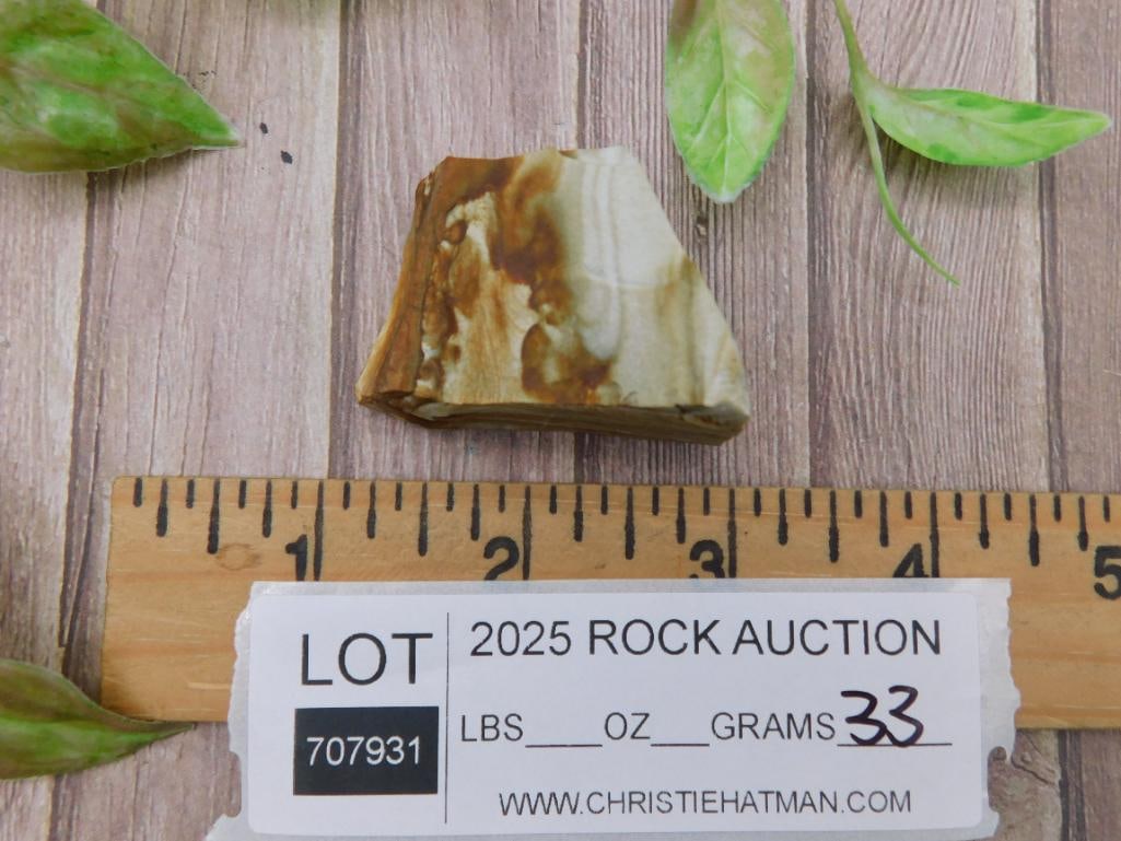 Jasper Rock Stone Lapidary Specimen - 3