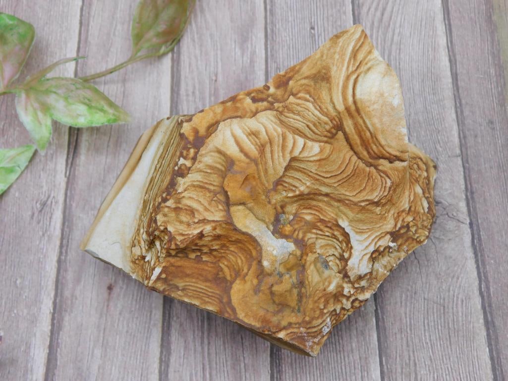 Jasper Rock Stone Lapidary Specimen with Unique Patterns: Jasper Rock Stone Lapidary Specimen with Unique Patterns