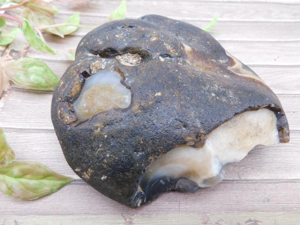 Agate Rock Stone Lapidary Specimen: Agate Rock Stone Lapidary Specimen