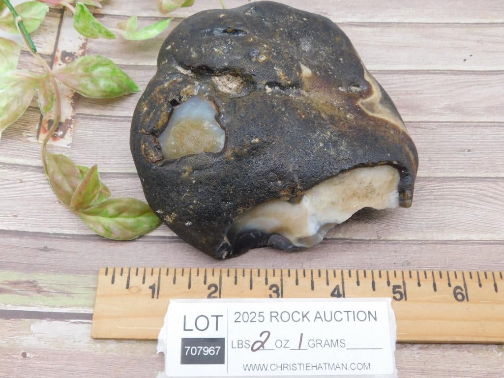 Agate Rock Stone Lapidary Specimen - 3
