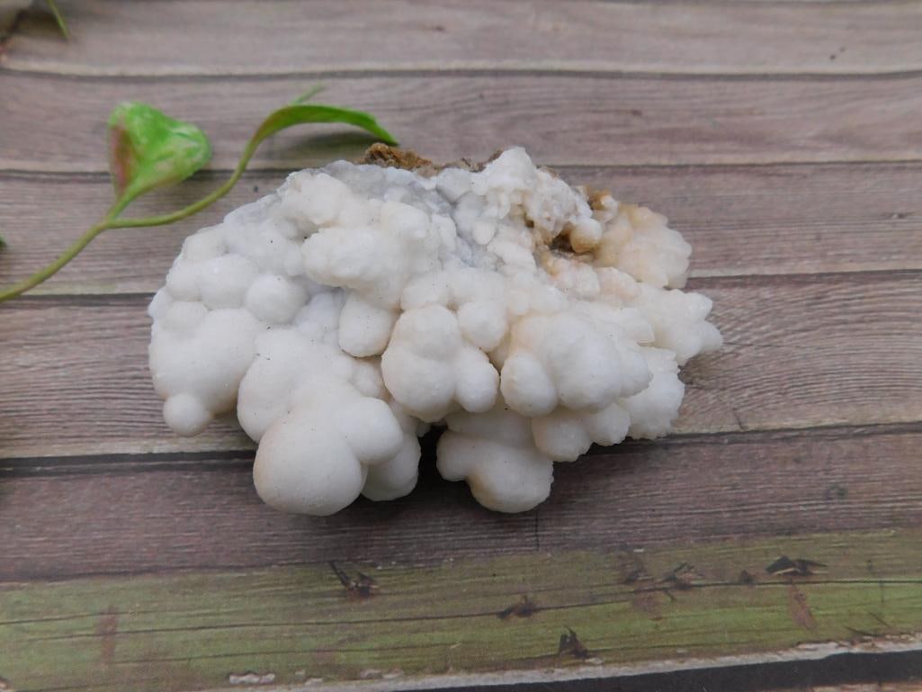 White Botryoidal Mineral Rock Stone Lapidary Specimen: White Botryoidal Mineral Rock Stone Lapidary Specimen