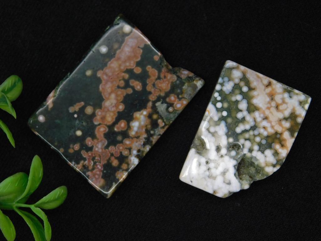 Pair of Polished Orbicular Jasper Lapidary Specimen: Pair of Polished Orbicular Jasper Lapidary Specimen