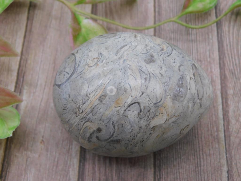 Fossilized Orthoceras Decorative Stone Egg (1 of 3)