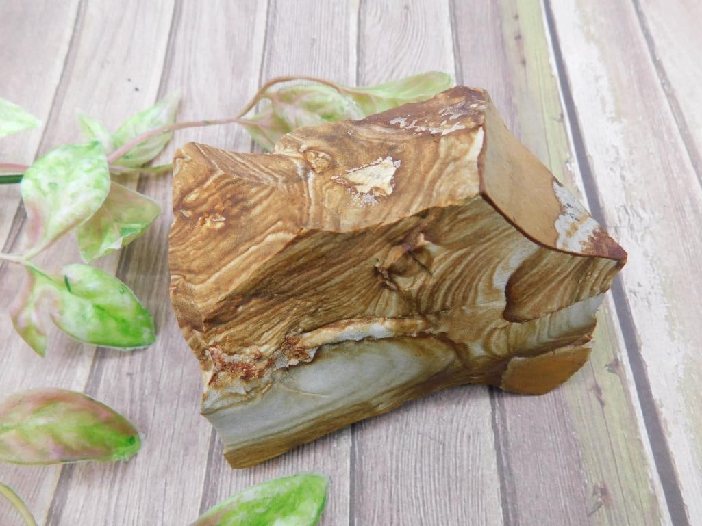 Jasper Specimen: Jasper Specimen