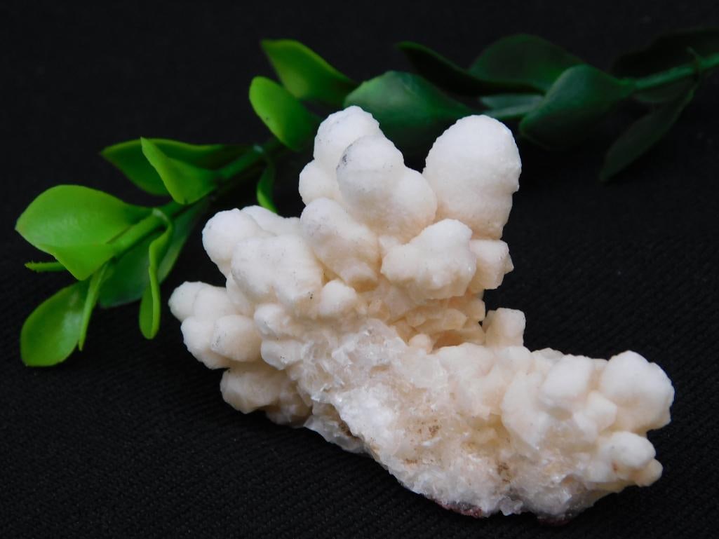 CAULIFLOWER CALCITE Rock Stone Lapidary Specimen: CAULIFLOWER CALCITE Rock Stone Lapidary Specimen
