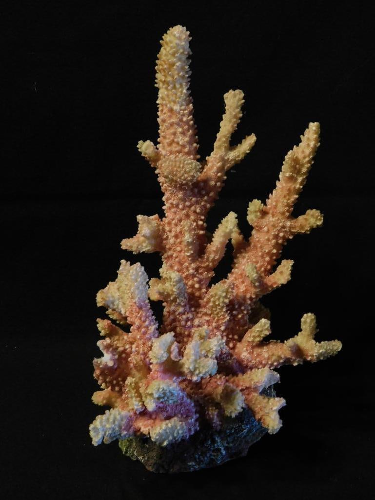 Branching Coral Specimen on Base Fish Tank Aquarium Decoration (1 of 2)