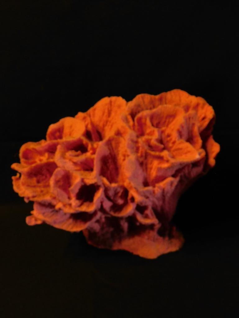 Pink and Orange Coral Display Specimen Fish Tank Aquarium Decoration (1 of 2)