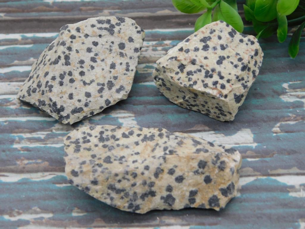 DALMATION JASPER ROCK STONE LAPIDARY SPECIMEN NATURAL GEMSTONE JEWELRY MAKING: A natural Dalmatian jasper specimen well suited for jewelry making, tumbling, or adding to a gemstone collection. See photos for exact size and detail. WELCOME TO HATMAN AUCTIONS! SPECIAL NOTICE: Plea