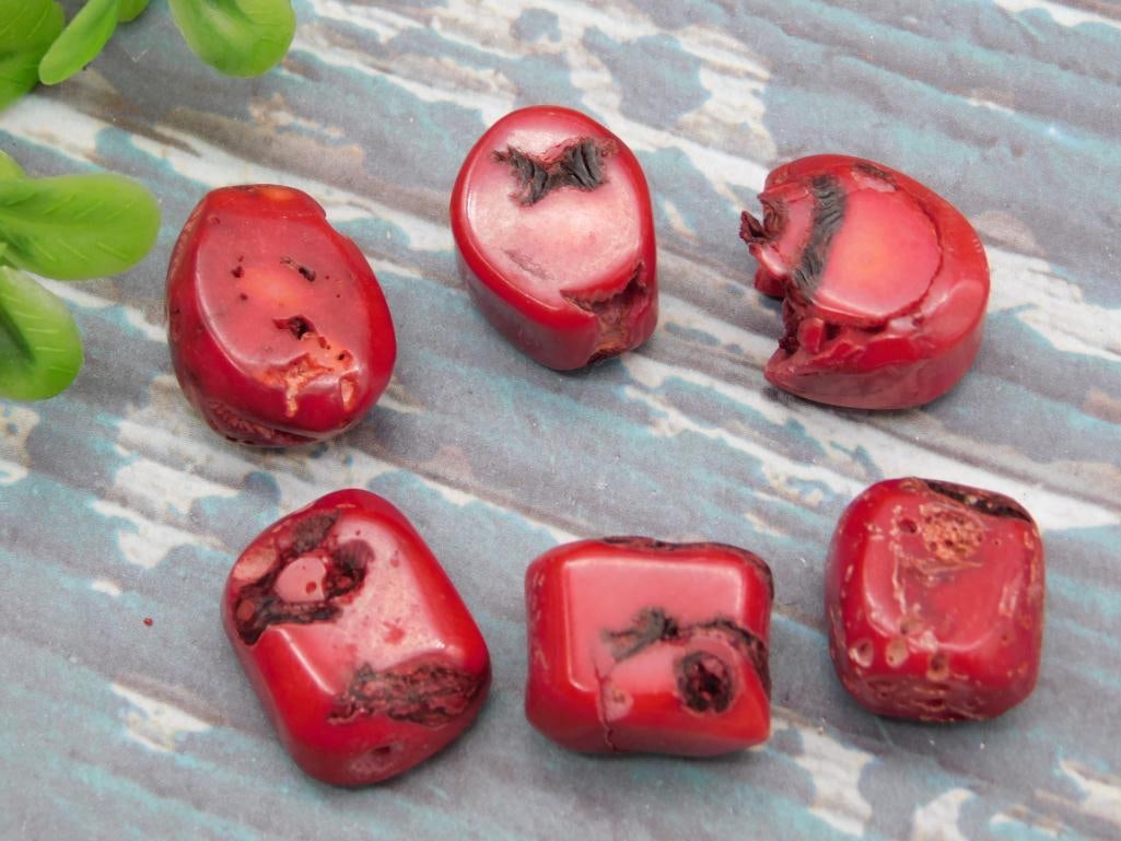 RED CORAL ROCK STONE LAPIDARY SPECIMEN - NATURAL COLLECTOR CORAL SPECIMEN: A natural red coral piece well suited to collectors and jewelry hobbyists who appreciate its vivid natural color. Works nicely for display or jewelry making projects. See photos for exact size, color,