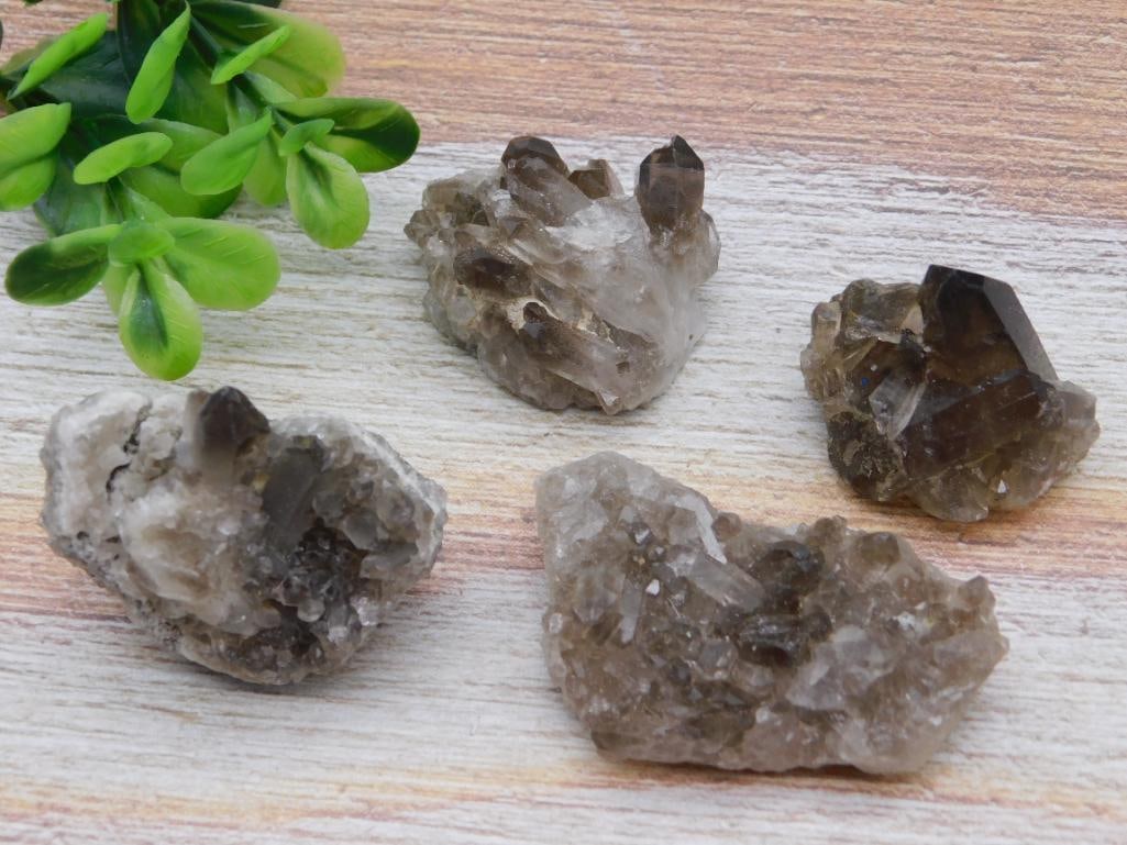 SMOKY QUARTZ EARTHY NATURAL CRYSTAL COLLECTOR MINERAL SPECIMEN: This smoky quartz piece brings natural earthy color to any mineral or crystal collection, popular with both rockhounds and metaphysical crystal enthusiasts. See photos for exact size and condition.