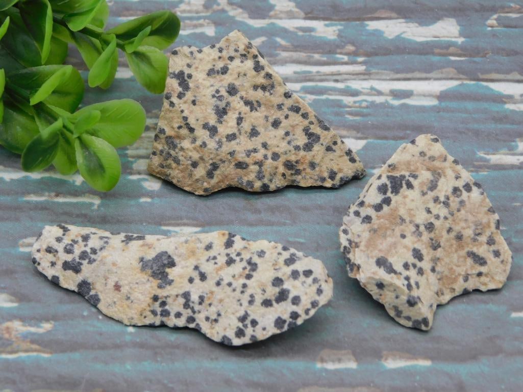 DALMATION JASPER ROCK STONE LAPIDARY SPECIMEN - NATURAL SPOTTED JASPER FOR ROCKHOUNDS & COLLECTORS: This natural spotted jasper specimen is a favorite among rockhounds for its playful, dalmation-like pattern. It suits both a display shelf and a lapidary rough pile. See photos for exact size and deta