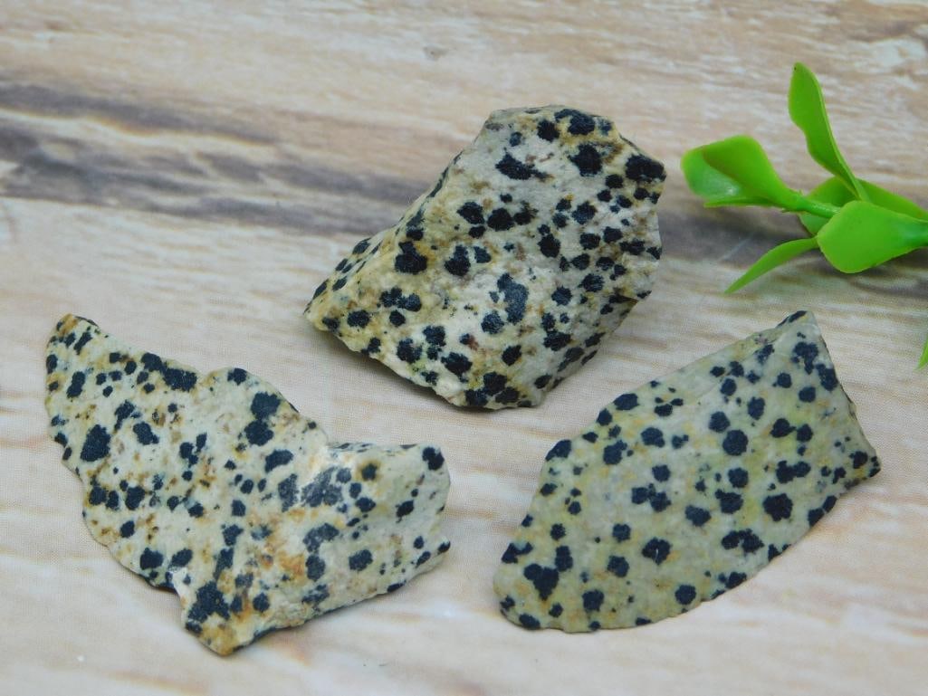 GENUINE DALMATION JASPER ROCK STONE LAPIDARY SPECIMEN FOR CABBING AND DISPLAY: A genuine Dalmation jasper piece, well suited for jewelry making, cabbing projects, or simply displaying its natural spotted beauty. See photos for exact size and detail. WELCOME TO HATMAN AUCTIONS! S