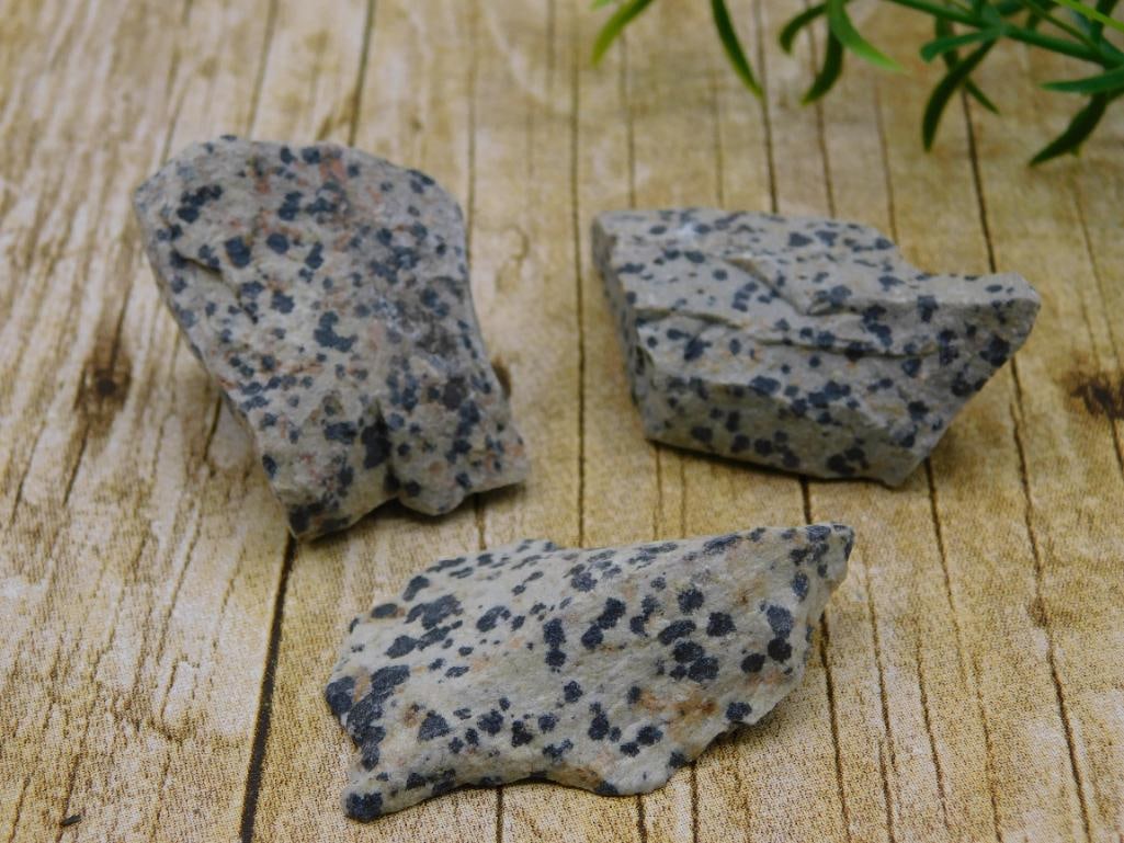 DALMATION JASPER ROCK STONE LAPIDARY SPECIMEN - NATURAL SPOTTED COLLECTOR STONE: Dalmatian jasper gets its name from the distinctive dark spots scattered across its lighter background, making it a fun and recognizable addition to any rock collection. This specimen suits collectors