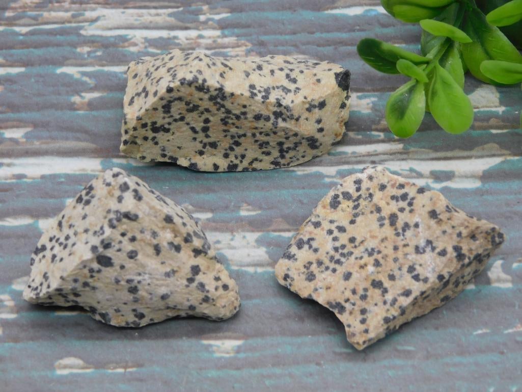 DALMATION JASPER ROCK STONE LAPIDARY SPECIMEN - SPOTTED GEMSTONE COLLECTOR PIECE: This Dalmatian jasper specimen features the eye-catching spotted pattern that gives the stone its name, appealing to both casual collectors and serious jasper enthusiasts. It's a versatile stone for d