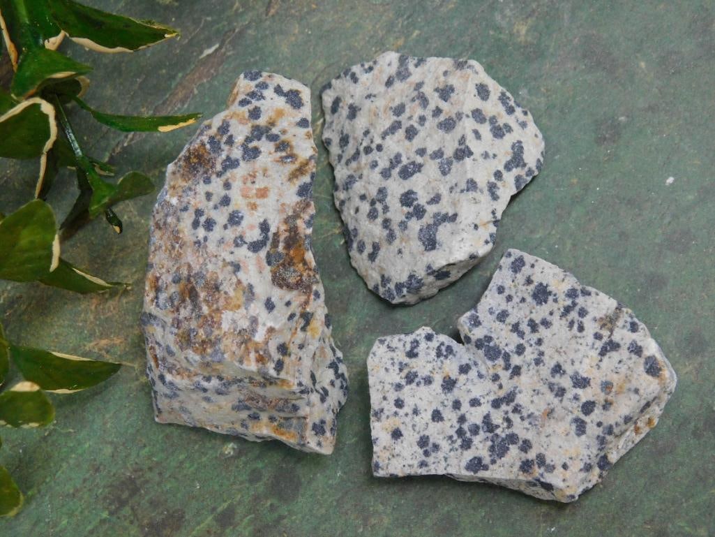 DALMATION JASPER ROCK STONE LAPIDARY SPECIMEN NATURAL COLLECTOR TUMBLING ROUGH (1 of 2)