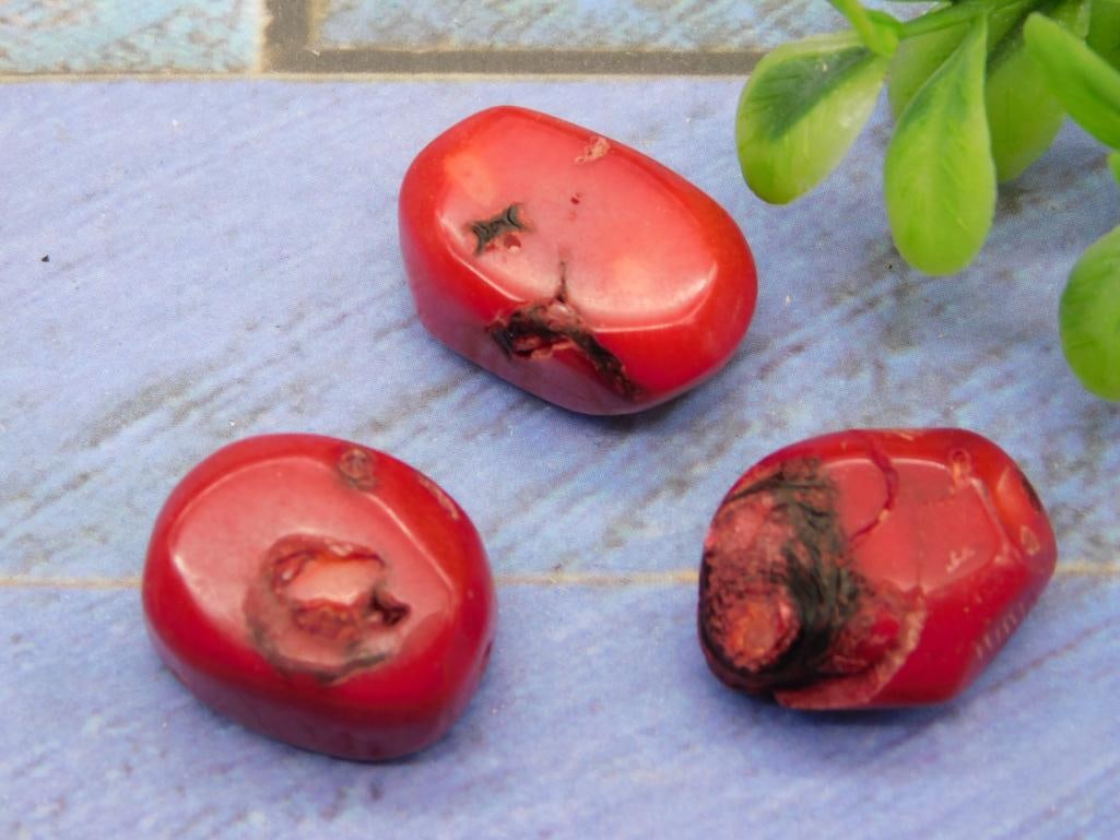 RED CORAL ROCK STONE LAPIDARY SPECIMEN - NATURAL CORAL FOR JEWELRY MAKING AND DISPLAY: This natural red coral specimen appeals to collectors and jewelry makers who enjoy working with organic gem materials. A striking piece for a display shelf or beading project. See photos for exact siz