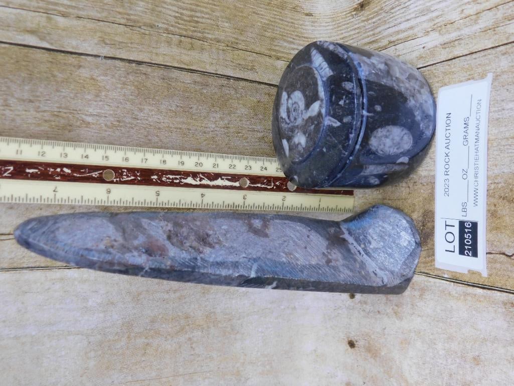 ORTHOCERAS ROCK STONE LAPIDARY SPECIMEN: WELCOME TO HATMAN AUCTIONS! SPECIAL NOTICE: Please see photos for measurements and descriptions. ***Yes, we have in house shipping with MANY REPEAT CUSTOMERS because of our streamlined service. ****We
