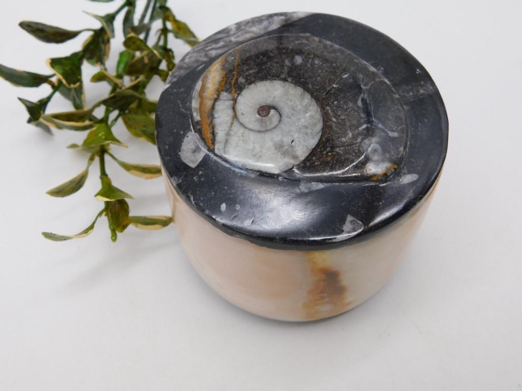 ORTHOCERAS TRINKET BOX ROCK STONE LAPIDARY SPECIMEN: WELCOME TO HATMAN AUCTIONS! SPECIAL NOTICE: Please see photos for measurements and descriptions. ***Yes, we have in house shipping with MANY REPEAT CUSTOMERS because of our streamlined service.