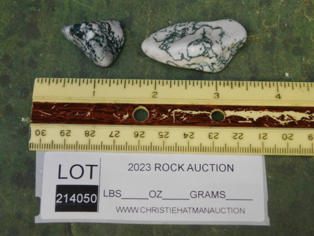 TREE AGATE ROCK STONE LAPIDARY SPECIMEN - 2