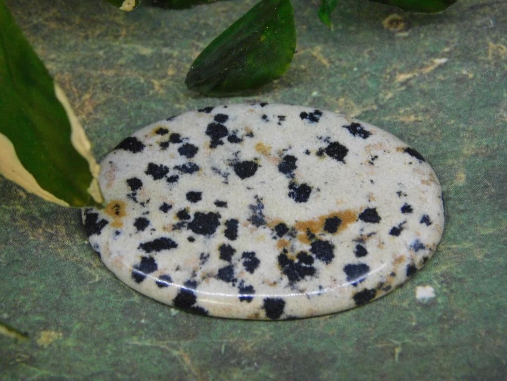 DALMATION JASPER CABOCHON ROCK STONE LAPIDARY SPECIMEN: WELCOME TO HATMAN AUCTIONS! SPECIAL NOTICE: Please see photos for measurements and descriptions. ***Yes, we have in house shipping with MANY REPEAT CUSTOMERS because of our streamlined service. ****We