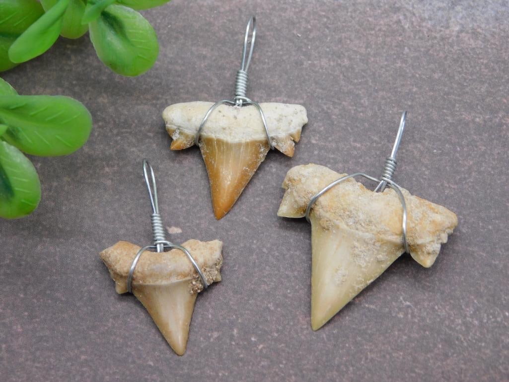 SHARK TEETH PENDANTS ROCK STONE LAPIDARY SPECIMEN: SHARK TEETH PENDANTS ROCK STONE LAPIDARY SPECIMEN - Part of our Discover Golden Attic, Crystals and Gems auction at HATMAN'S Auctions! Please see photos for measurements and condition. YES, we have