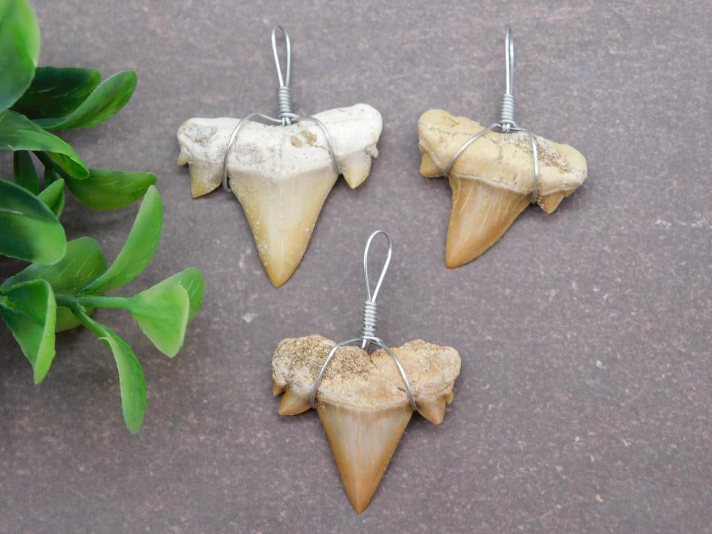 SHARK TEETH PENDANTS ROCK STONE LAPIDARY SPECIMEN: SHARK TEETH PENDANTS ROCK STONE LAPIDARY SPECIMEN - Part of our Discover Golden Attic, Crystals and Gems auction at HATMAN'S Auctions! Please see photos for measurements and condition. YES, we have
