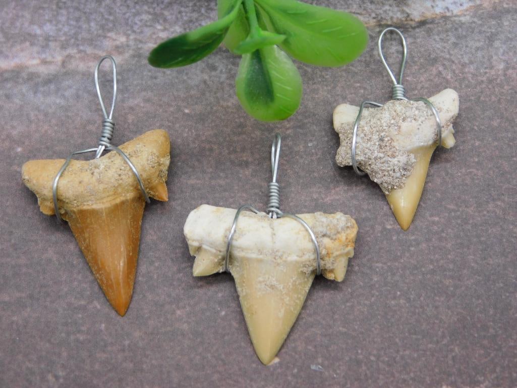 SHARK TEETH PENDANTS ROCK STONE LAPIDARY SPECIMEN: SHARK TEETH PENDANTS ROCK STONE LAPIDARY SPECIMEN - Part of our Discover Golden Attic, Crystals and Gems auction at HATMAN'S Auctions! Please see photos for measurements and condition. YES, we have