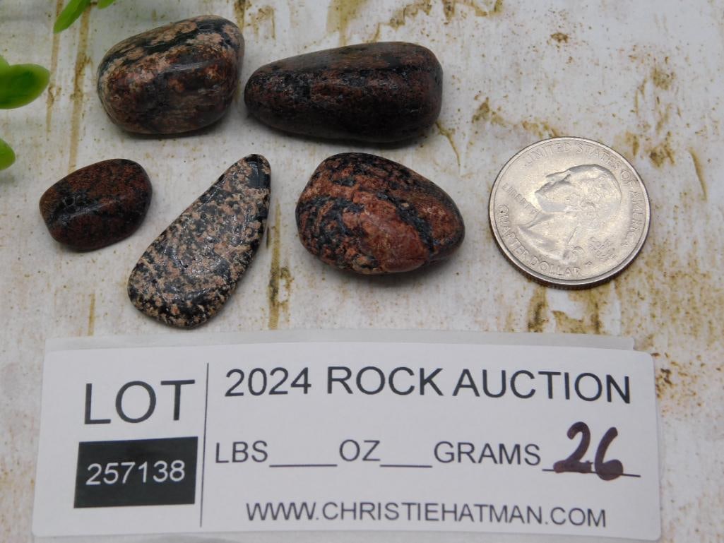 ROCK STONE LAPIDARY SPECIMEN - 3