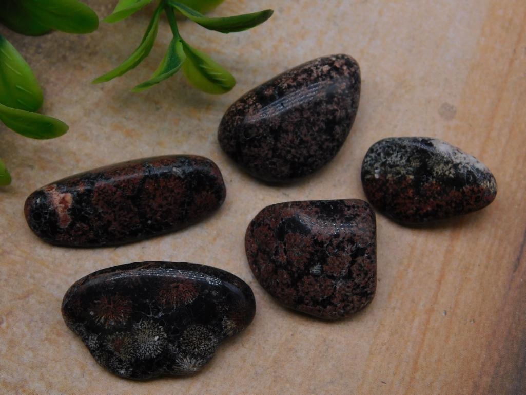 ROCK STONE LAPIDARY SPECIMEN - 2