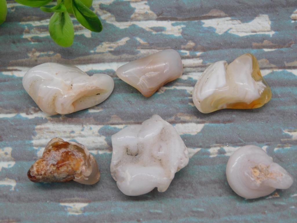 TUMBLED AGATE NATURAL POLISHED CRYSTAL COLLECTOR HEALING STONE SPECIMEN: This tumbled agate specimen shows off the natural polished banding collectors and crystal lovers seek, perfect for display or a healing crystal collection. See photos for exact size and condition.